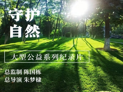 最具转化影视的文学大IP亮相上海国际电影节